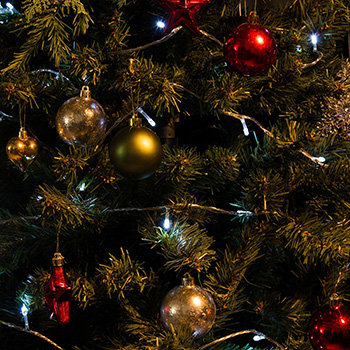 led гирлянда Uniel ULD-S1000-100/DTA White IP20 - пример использования