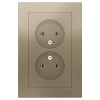 Атлас шампань розетка скрытая 2-мест IP20 моноблок