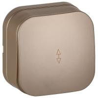 Глори шампань переключатель 1кл открытая 10А IP20 