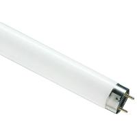 Лампа люм G13 Т8 58Вт 6500К 5000лм Osram 