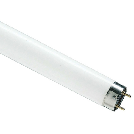 Лампа люм G13 Т8 58Вт 6500К 5000лм Osram 