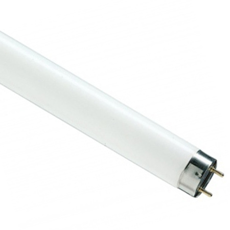 Лампа люм G13 Т8 30Вт 6500К 1900лм Osram 