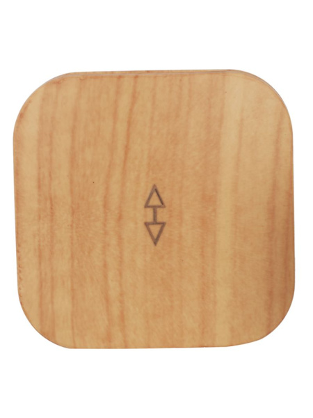 Глори сосна переключатель 1кл открытая 10А IP20 