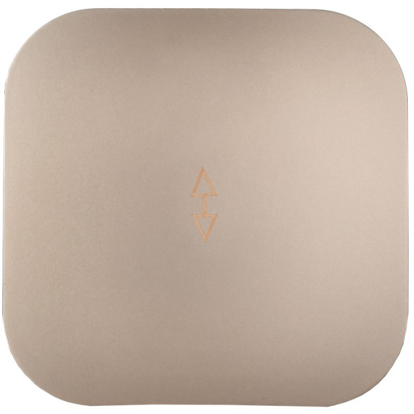 Глори шампань переключатель 1кл открытая 10А IP20 