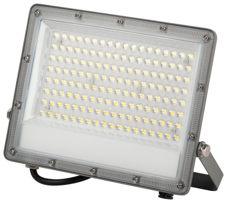 Прожектор свд 100Вт 6500К 10000лм серый IP65 90° ЭРА PRO LPR-063