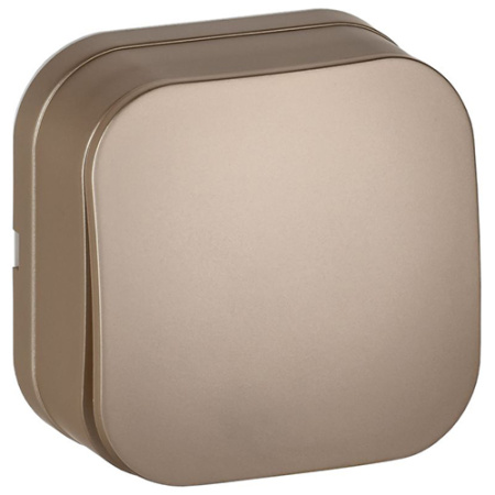 Глори шампань выключатель 1кл открытая 10А IP20 